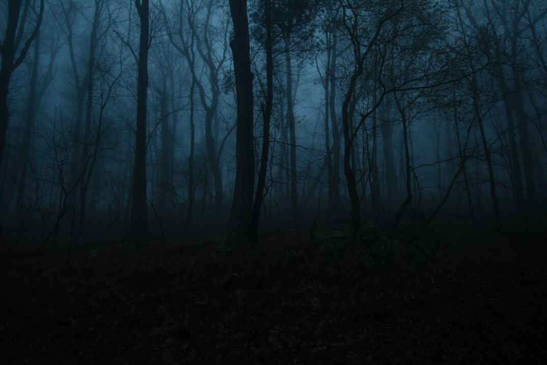Dark misty forest at night suggesting a mystery novel setting